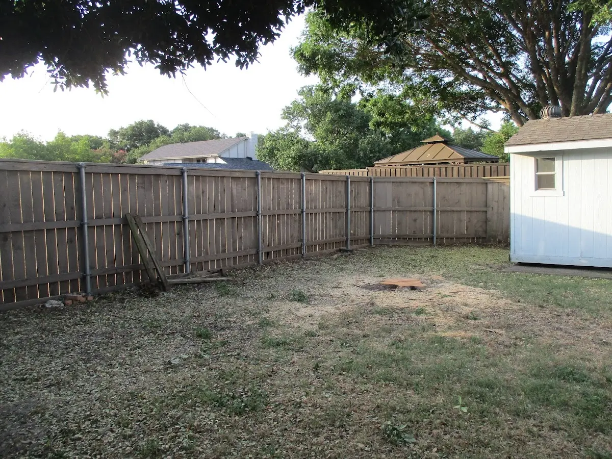 Cleared yard after professional tree removal in Maine
